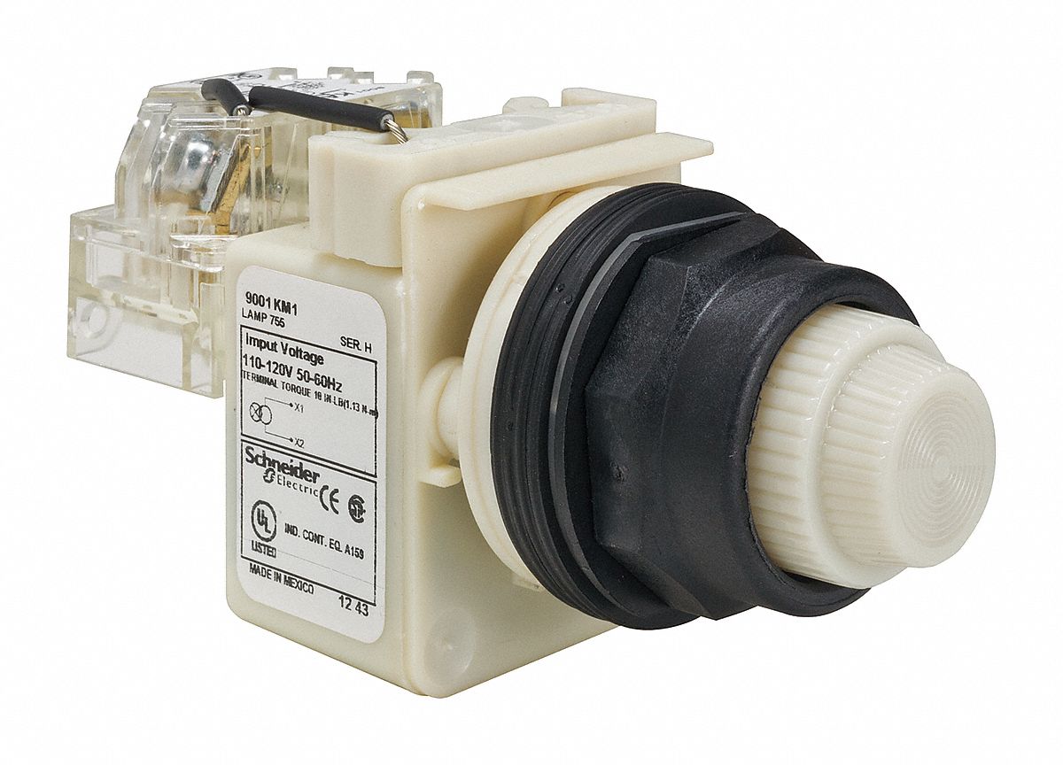 Pilot Light: 30 mm Panel Mounting Size, White, Incandescent, 9001SK Series