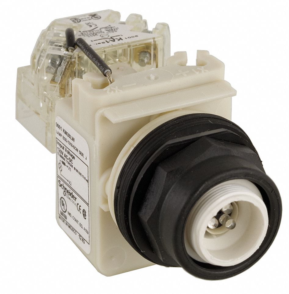 Pilot Light: 30 mm Panel Mounting Size, No Lens Included, LED, 9001SK Series