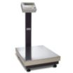 Digital Floor Scales