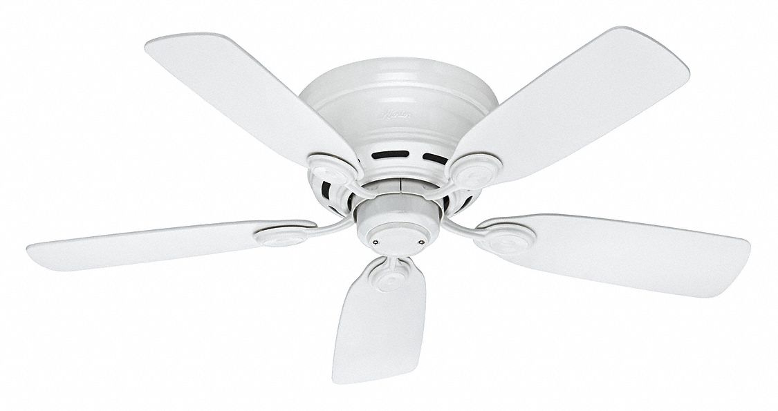 Hunter Decorative Ceiling Fan 42 Number Of Blades 5 Number Of