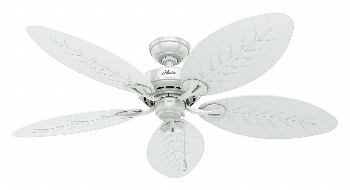 Decorative Ceiling Fan 54 Number Of Blades 5 Number Of Speeds 3 120vac