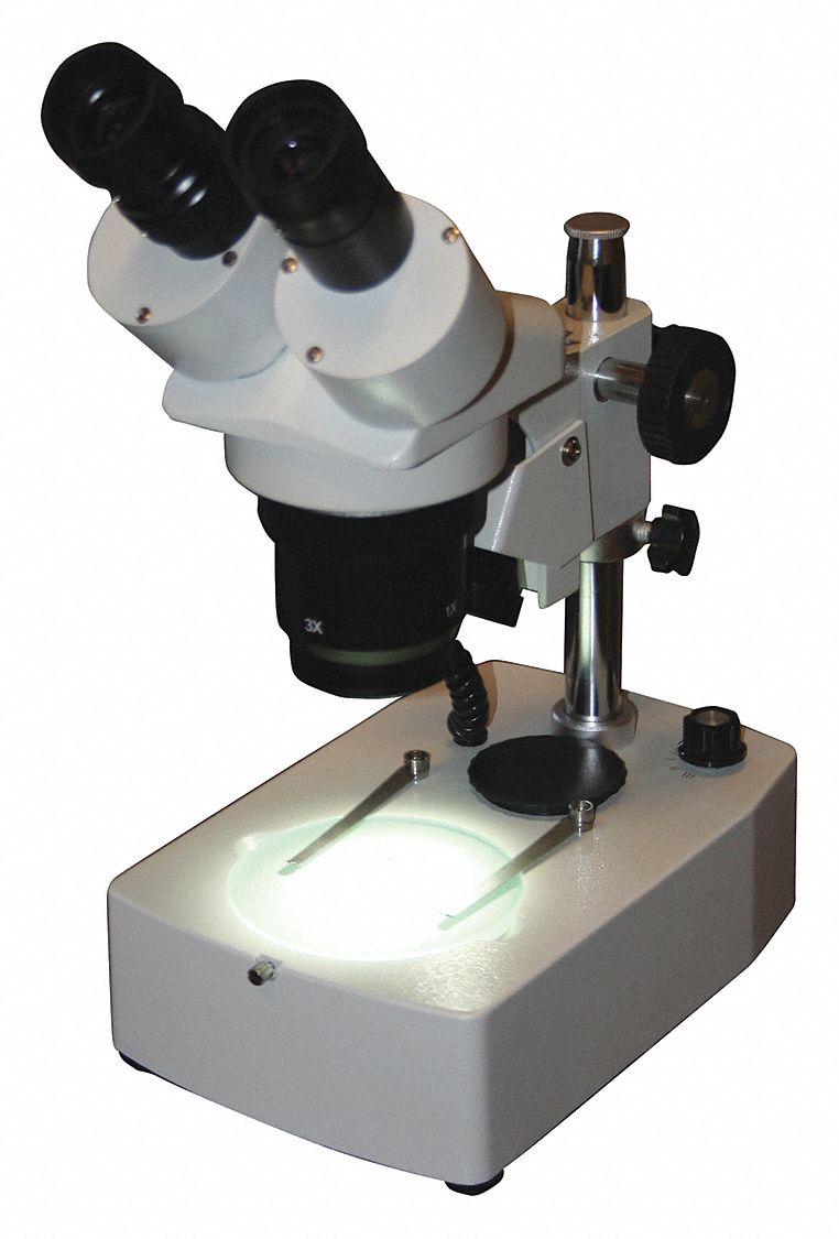 microscopio