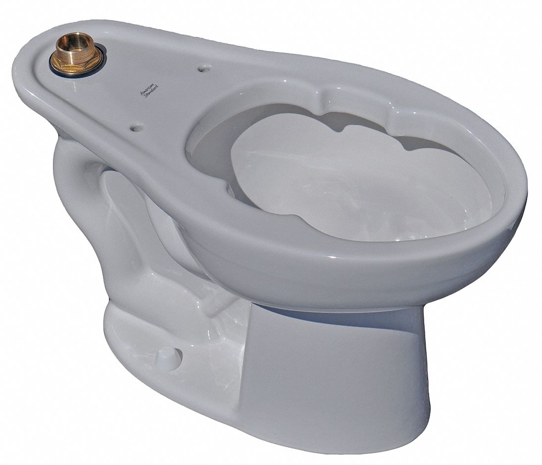 AMERICAN STANDARD Elongated, Floor, Flush Valve, Bedpan Holding Toilet