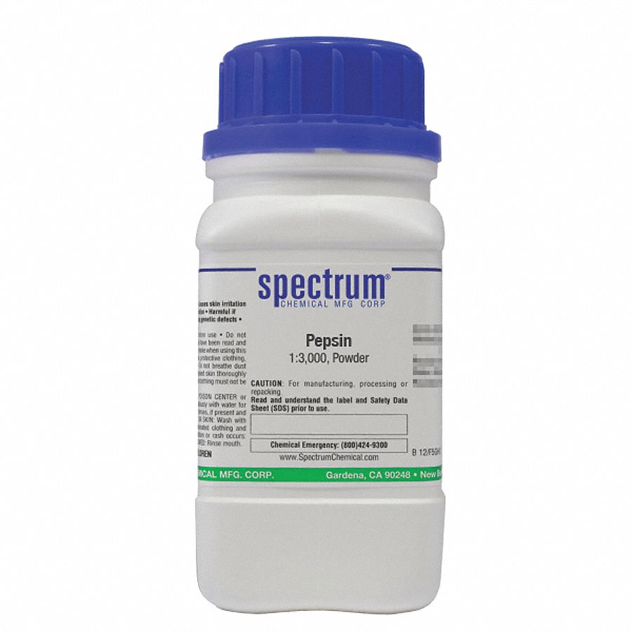 SPECTRUM Pepsin, 100g, CAS 9001-75-6, Poly - 46AM78|P1571-100GM - Grainger