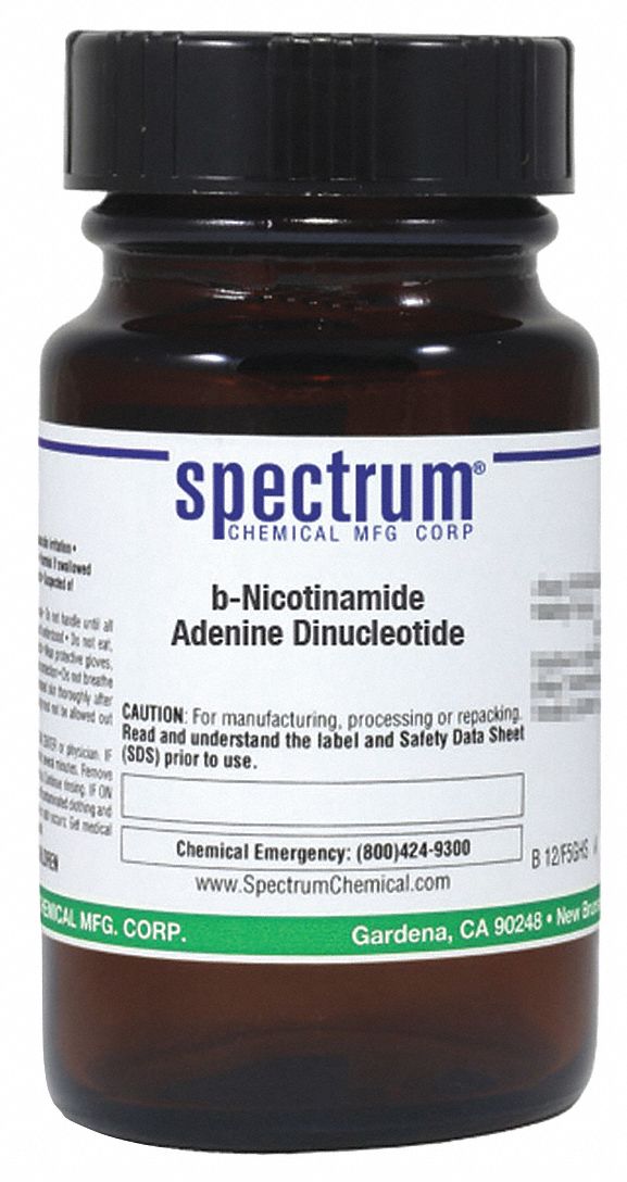 B-Nicotinamide Adenine Dinucleotide, 25g