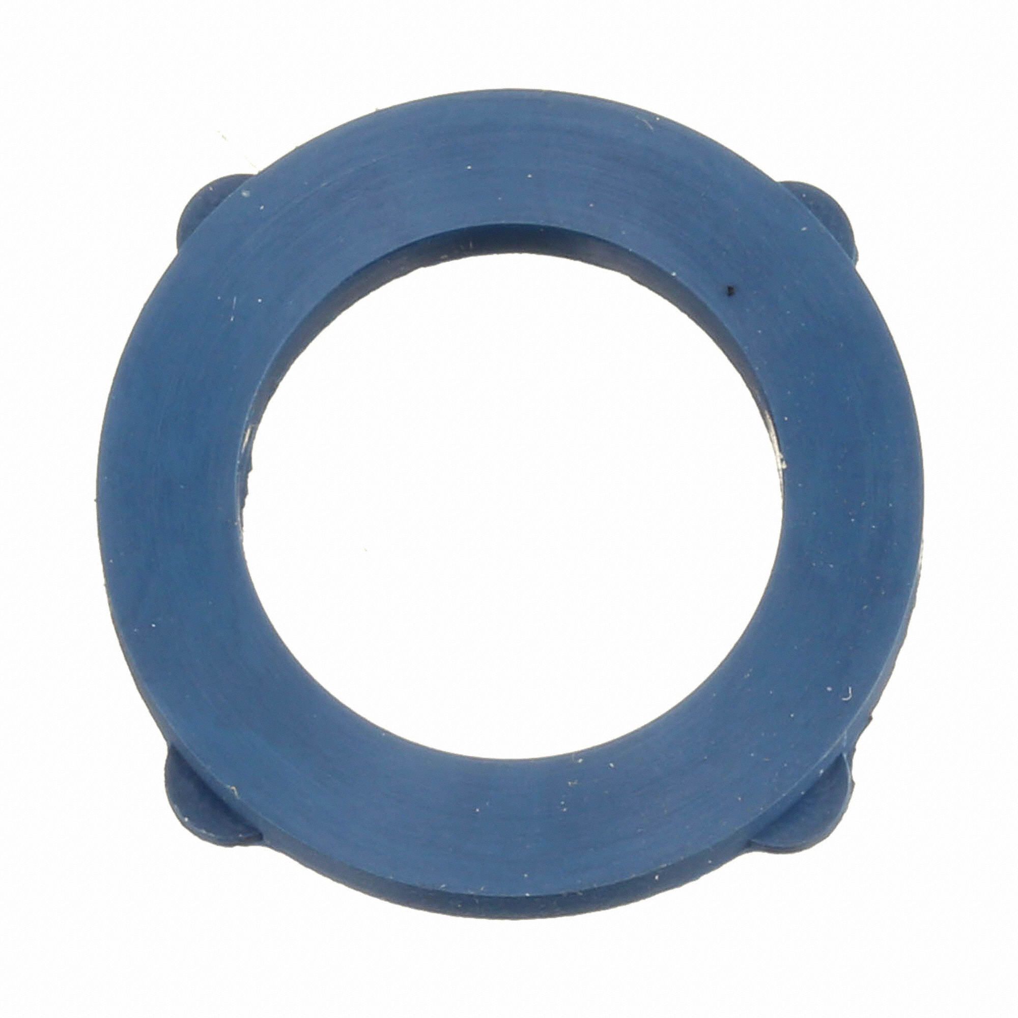 SANILAV Garden Hose Washer For 3/4 in Hose I.D., Viton, Blue, 500 psi