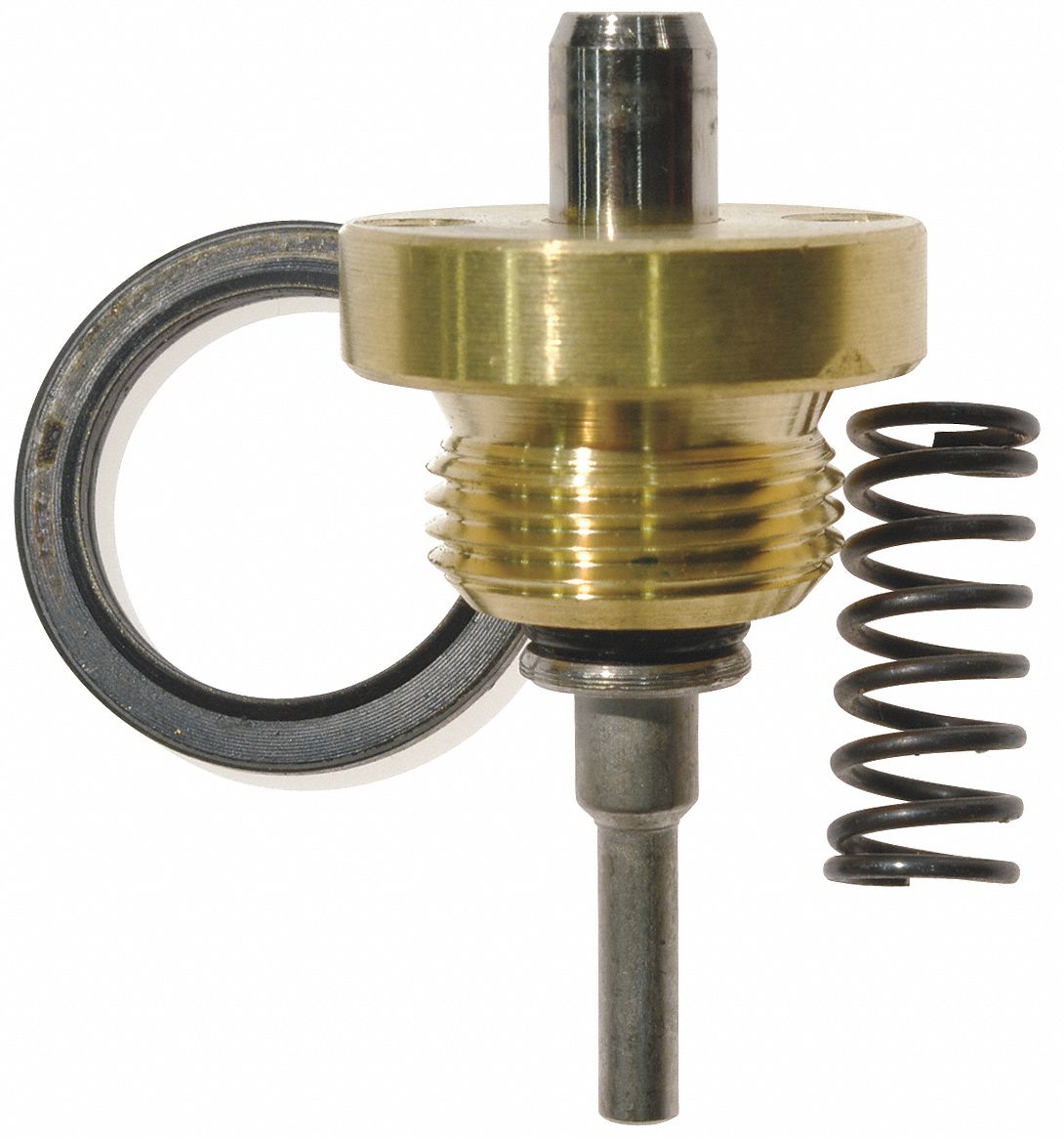 DAYTON Pump Valve Assembly 46G26097155 Grainger