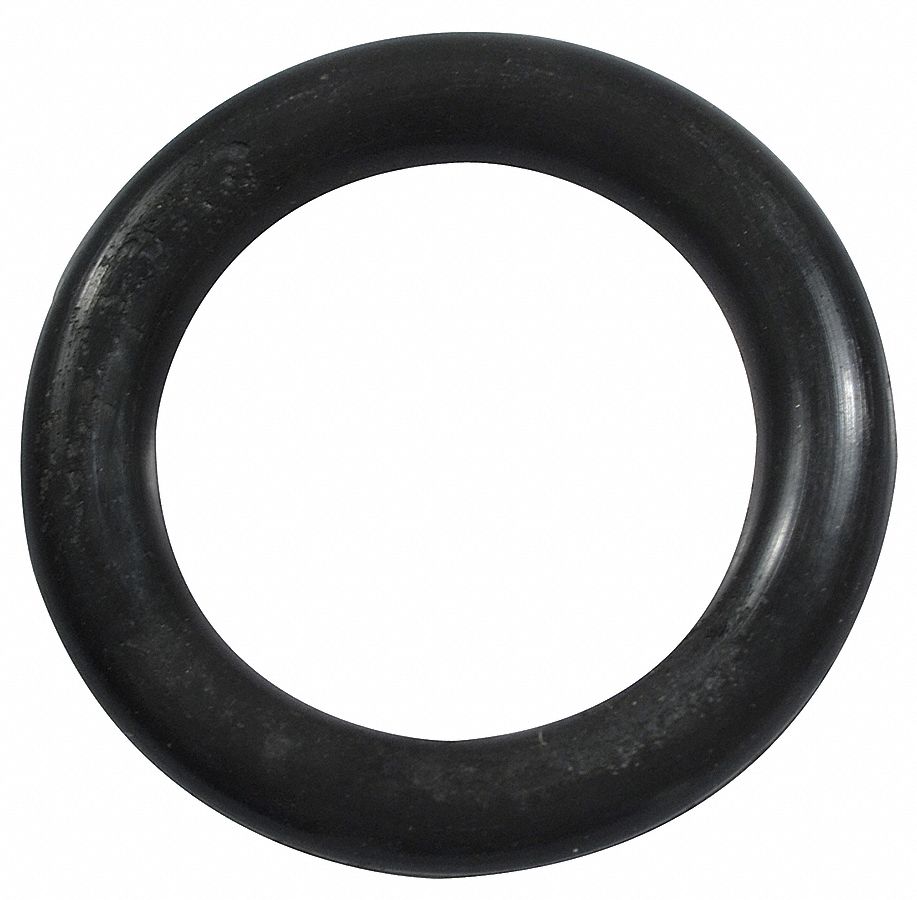 Impeller O-Ring: Part