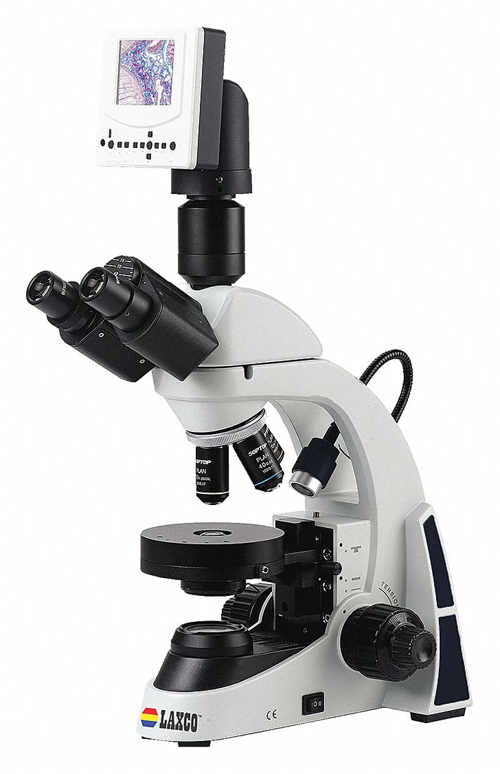 Laxco Inc Compound Microscope 1 1 46mn90lmc Bf117 03l1 Grainger