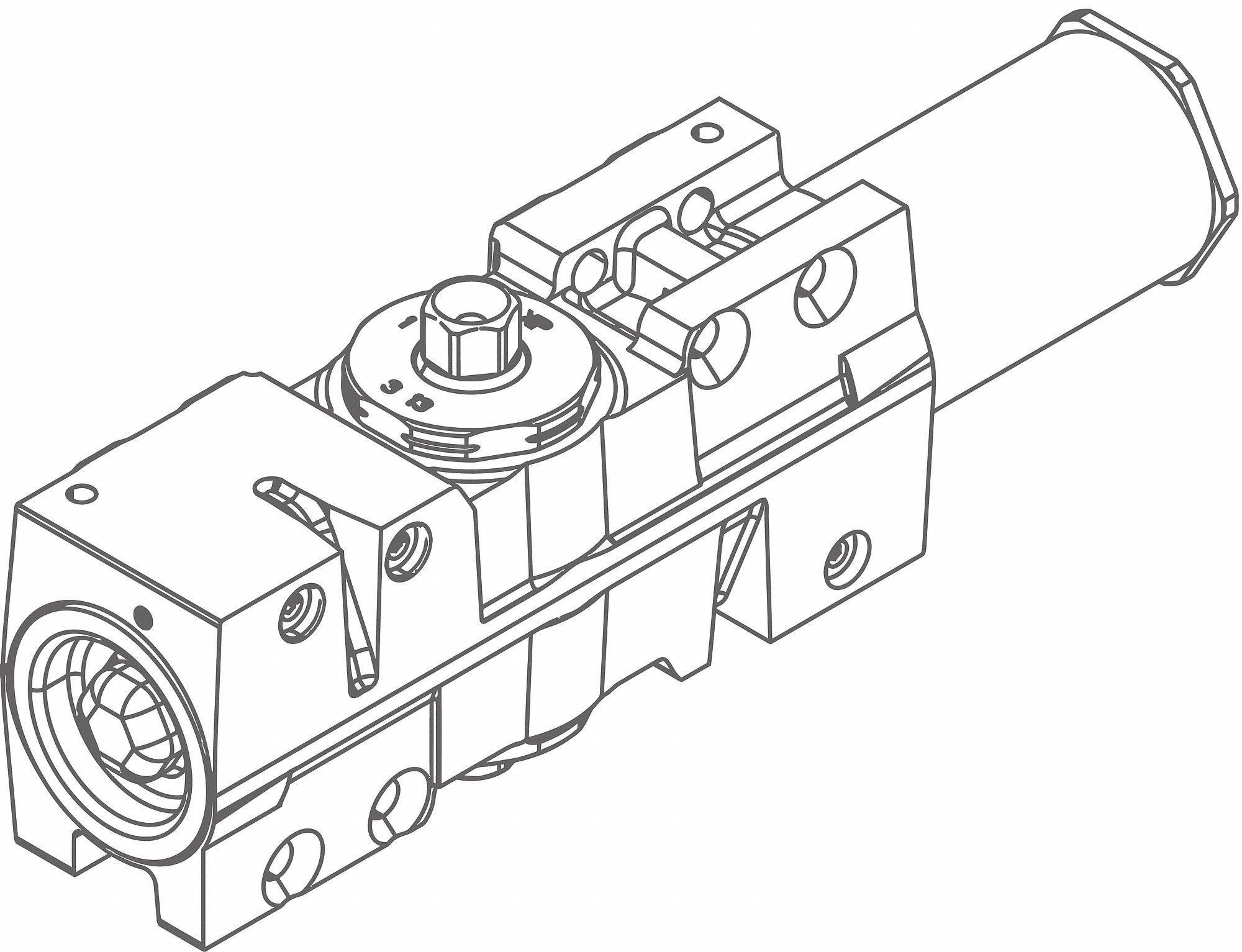 Standard Cylinder Assembly 12-1/8 in L