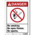 Danger: No Smoking. No Open Flames. No Sparks. Signs