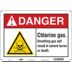 Danger: Chlorine Gas. Breathing Gas Will Result In Severe Burns Or Death. Signs