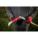 Product Image #5