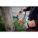 Product Image #7