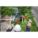 Product Image #9