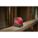 Product Image #8