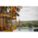 Product Image #4