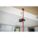 Product Image #7