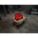 Product Image #4