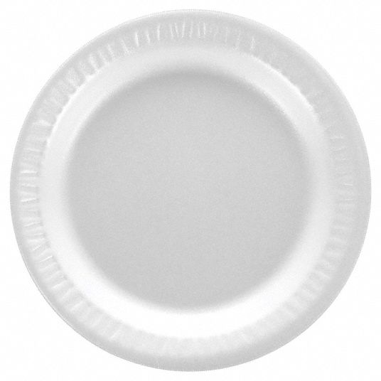 Styrofoam Plate 6