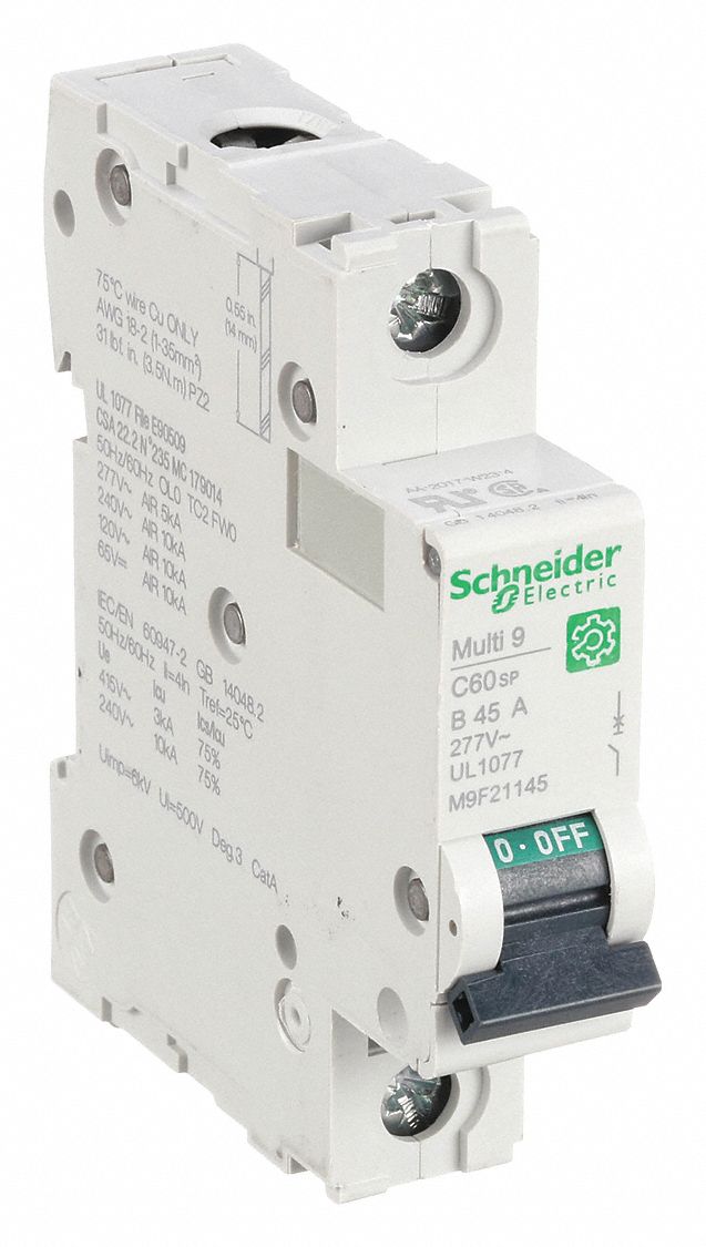IEC Supplementary Protector: 45 A Amps, 60V DC, 10kA at 120/240V AC, Screw Clamp
