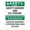 Safety First/Seguridad Primero: Safety Shower And Eyewash Station/Ducha De Seguridad Y Estacion Para Lavar Los Ojos Signs