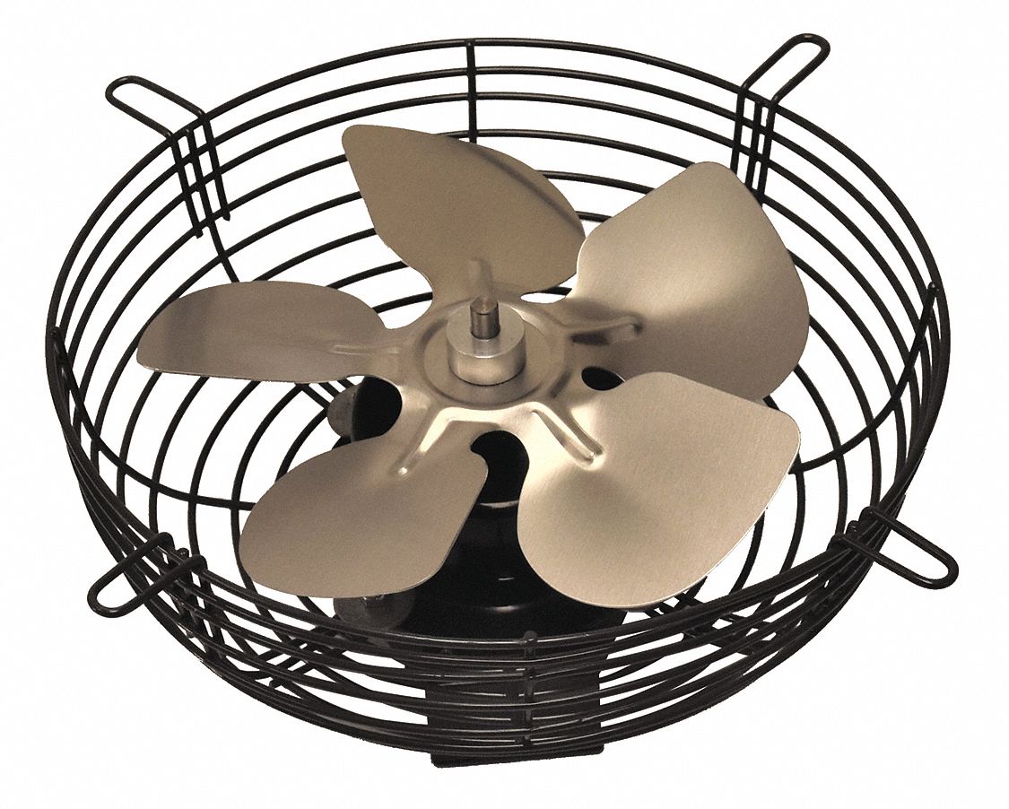 DAYTON, 10 in Blade, 1/25 hp, GuardMounted Exhaust Fan 484X52484X52