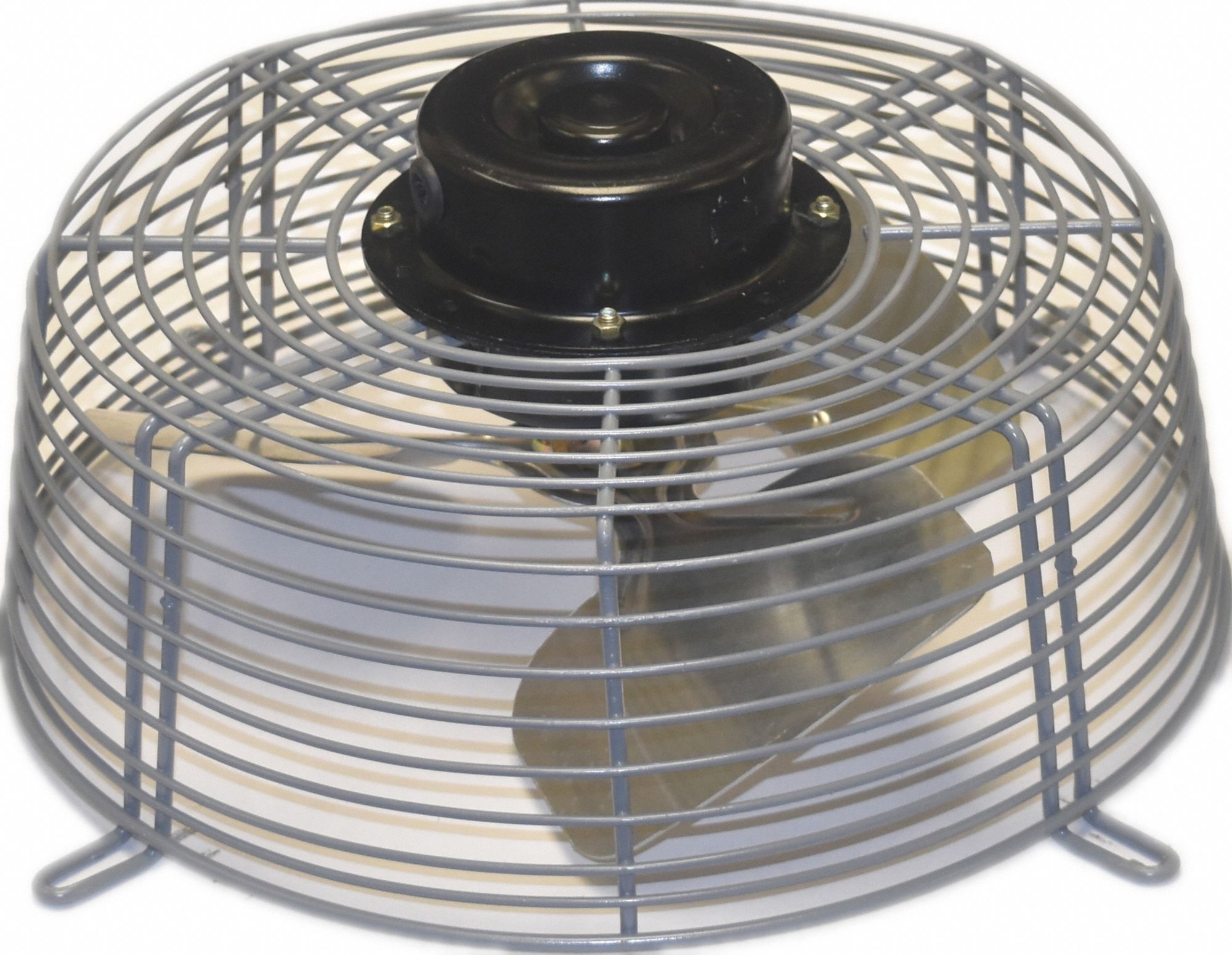 DAYTON 12 in Blade Dia. 1/15 hp HP Guard Mounted Exhaust Fan, 1,550 RPM