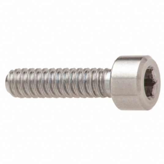 AMPG Cylindrical, Socket Head Cap Screw, 1/4"20, Stainless Steel