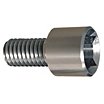 Cylindrical Socket Head Cap Screw, Stainless Steel 18-8, Square Socket, Plain, UNC image