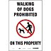 Walking Of Dogs Prohibited On This Property Signs