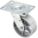 NSF-LISTED SANITARY PLATE CASTER, 4 IN WHEEL DIAMETER, 700 LB, 5⅝ IN MOUNTING H