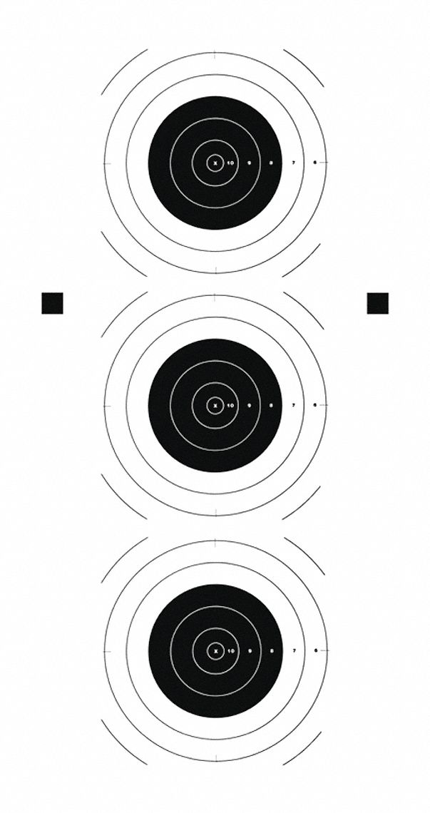 ACTION TARGET, Bullseye and Sighting, Black/White, Training Target ...