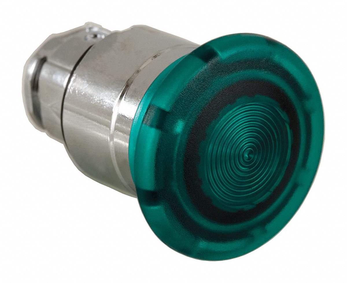 SCHNEIDER ELECTRIC Illuminated Push Button Operator: 22 mm Size ...
