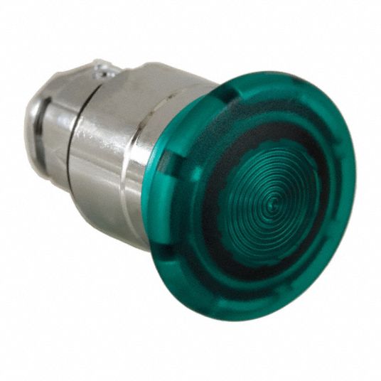 SCHNEIDER ELECTRIC Illuminated Push Button Operator, 22 mm, Momentary ...