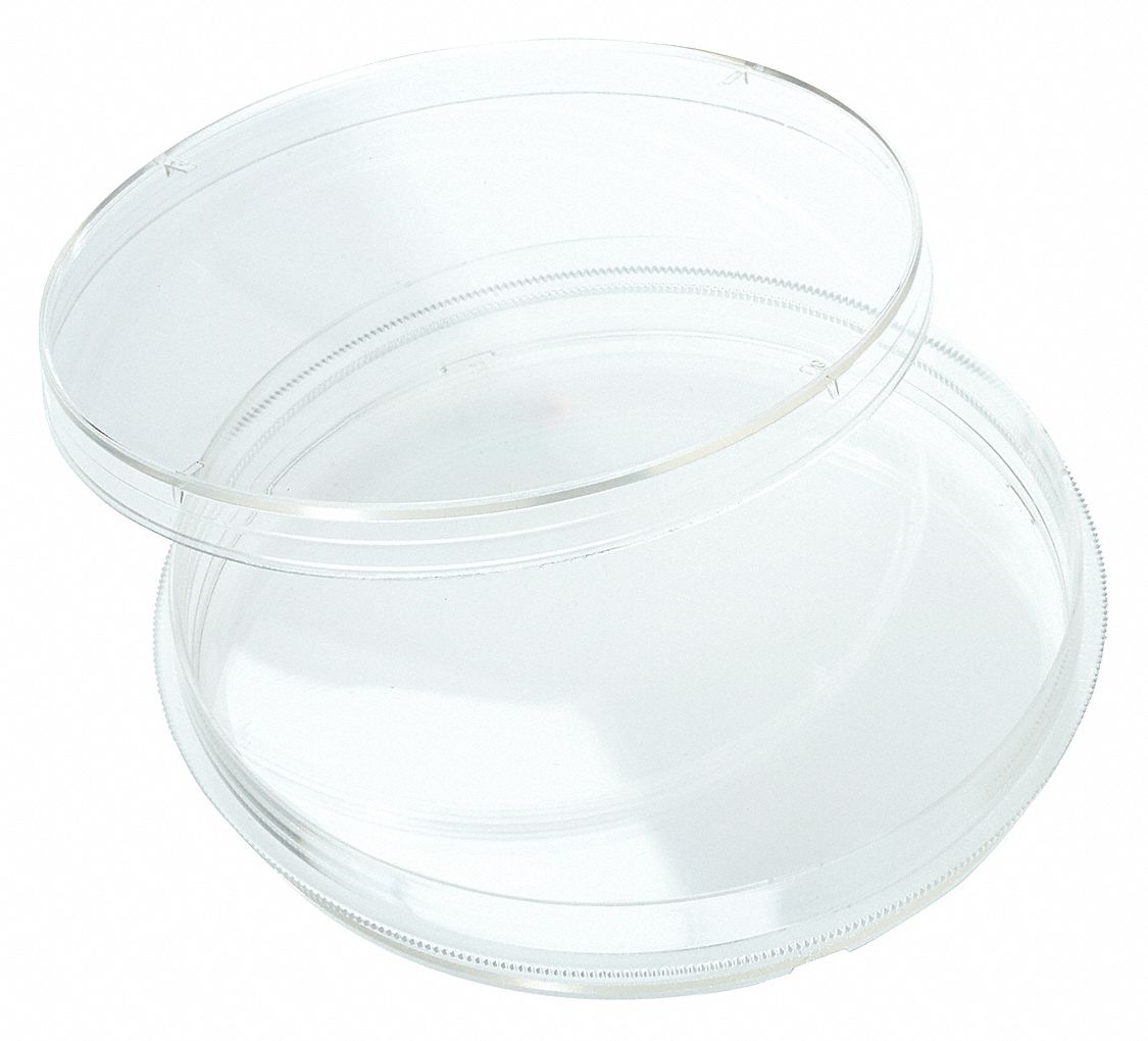 PETRI DISH,POLYSTYRENE,1 WELL,PK300