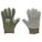 Primary Product Image