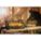Product Image #5