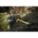 Product Image #6