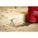 Product Image #5