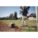Product Image #5