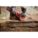 Product Image #9