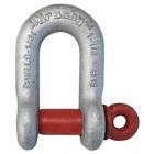ANCHOR SHACKLE, SCREW PIN, TYPE IVA G210, GALVANIZED, 0.53 X 0.38 IN, BODY 5/16 IN, CARBON ST