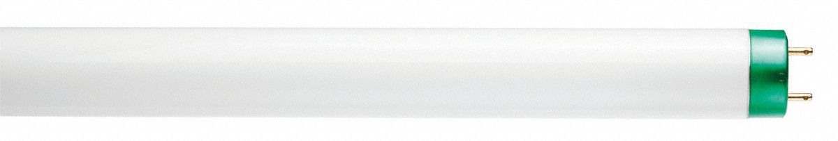 LINEAR FLUORESCENT BULB, 1½ FT L, T8, 15.5 W, 6200K, 725 LUMENS