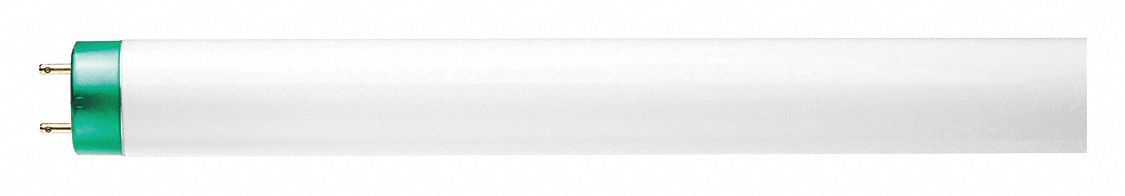 LINEAR FLUORESCENT BULB, 3 FT L, T8, 25 W, 5000K, 2,100 LUMENS, GLASS, G13