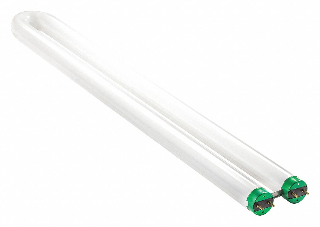 U-SHAPED FLUORESCENT BULB, T8, MEDIUM BI-PIN (G13), 1⅝ IN U-BEND LEG SPACING, 31 W