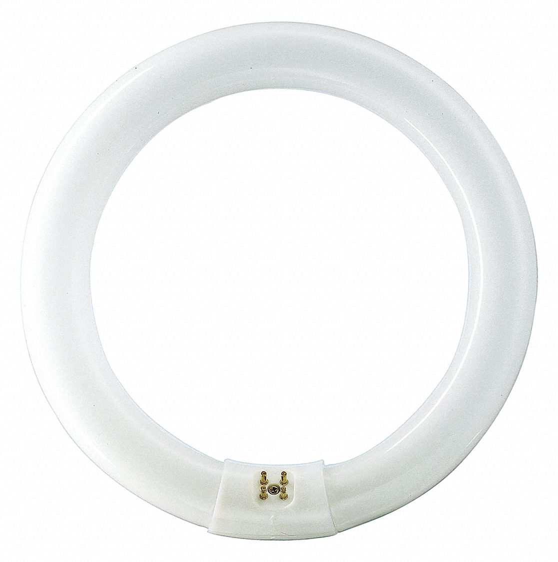 CIRCULAR FLUORESCENT BULB, T9, 4-PIN (G10Q), 12 IN DIA, 31 W, 4100K