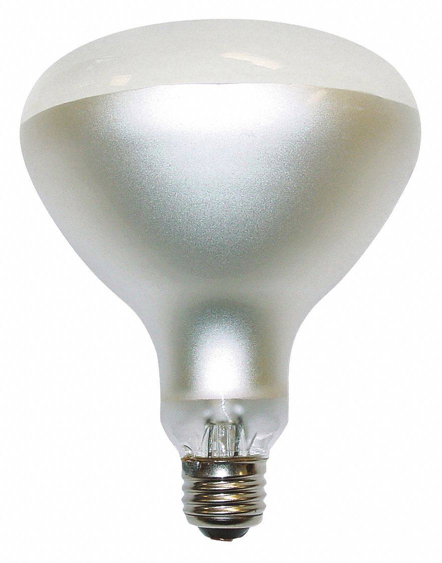 PHILIPS Incandescent Bulb, R40, Medium Screw (E26), Lumens 2960 Lm ...