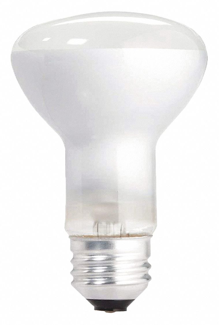 PHILIPS Incandescent Bulb, R20, Medium Screw (E26), Lumens 385 lm ...