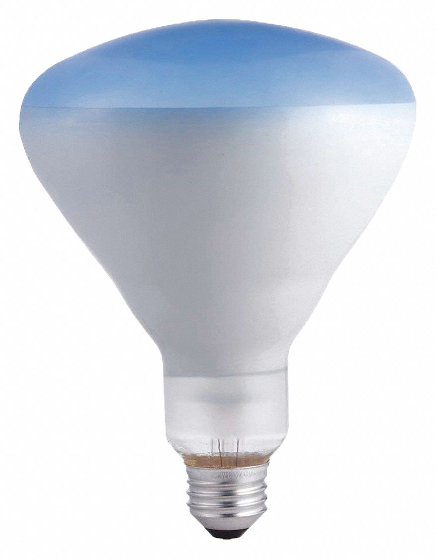 PHILIPS, R20, Medium Screw (E26), Incandescent Bulb 493A19120BR/AGRO